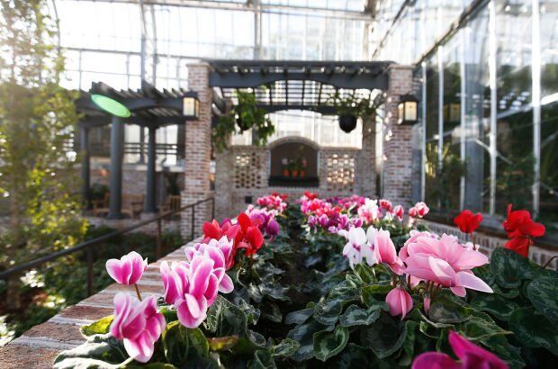New Conservatory 7
